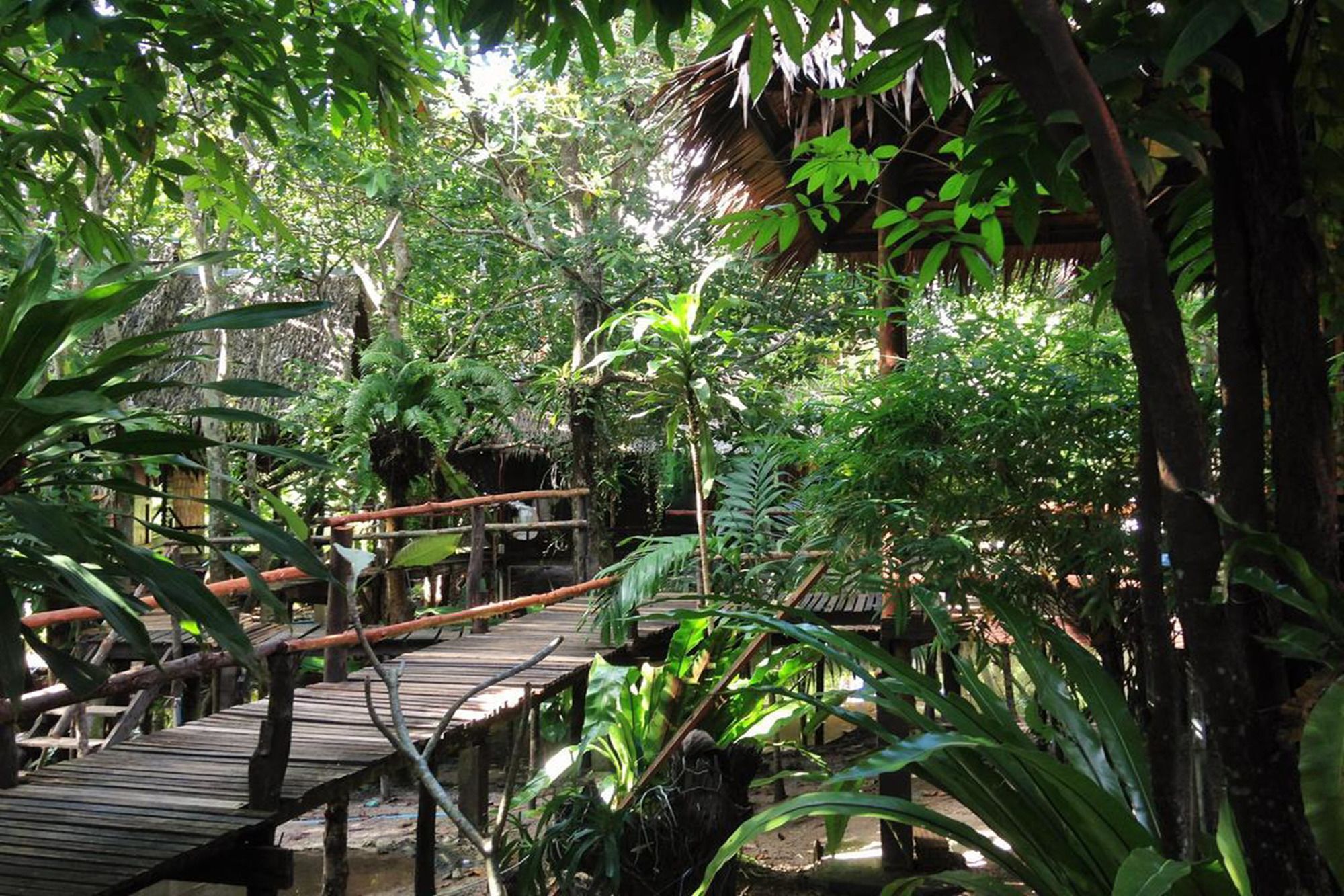 Mayom Garden (Adults Only) Ko Pha Ngan Exterior foto